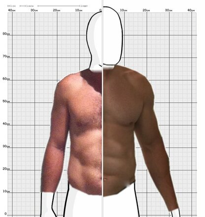 Torso Comparison