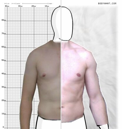 Torso Comparison