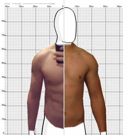 Torso Comparison