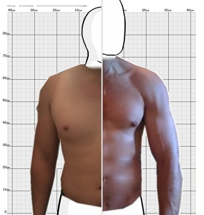 Torso Comparison