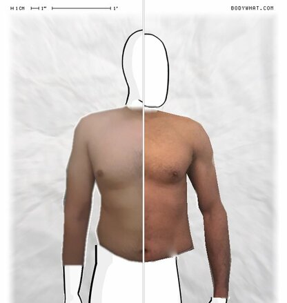 Torso Comparison