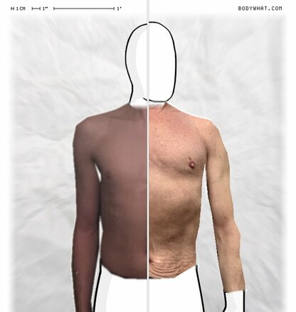 Torso Comparison