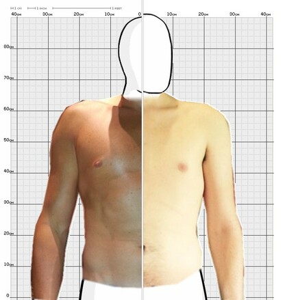 Torso Comparison
