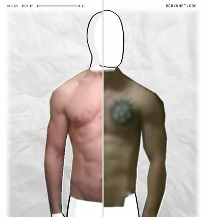 Torso Comparison