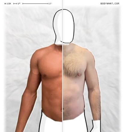 Torso Comparison