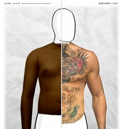 Torso Comparison