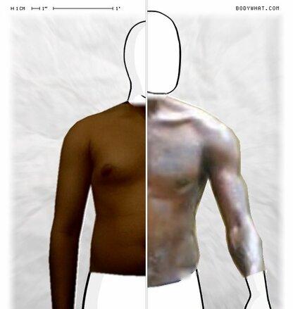 Torso Comparison