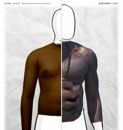 Torso Comparison