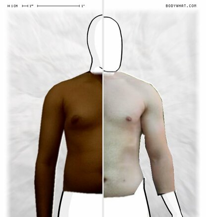 Torso Comparison