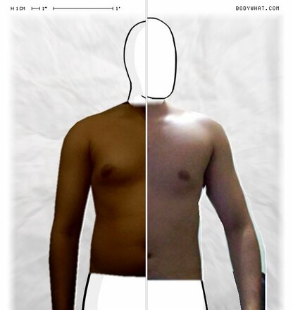 Torso Comparison