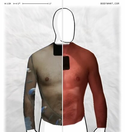 Torso Comparison