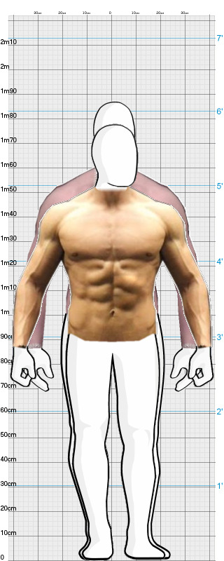 Full Size Comparison