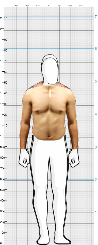 Full Size Comparison