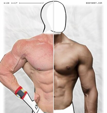 Torso Comparison