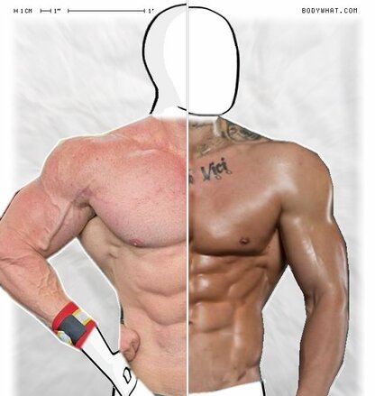 Torso Comparison