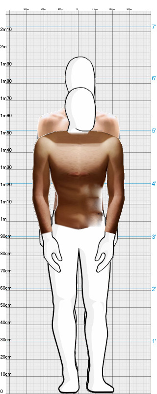 Full Size Comparison