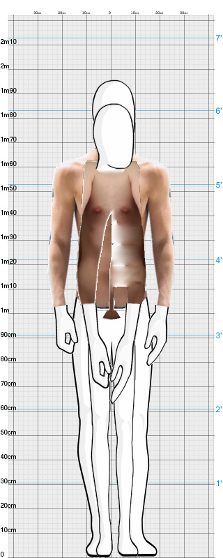 Full Size Comparison