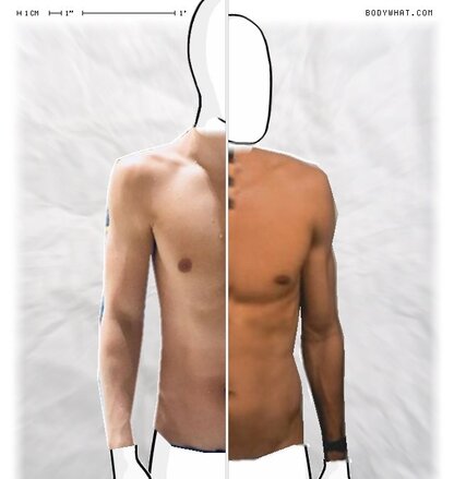 Torso Comparison