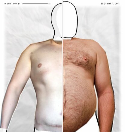 Torso Comparison