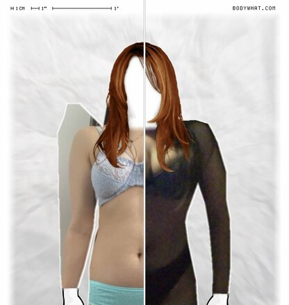 Torso Comparison