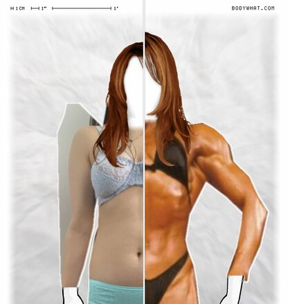 Torso Comparison