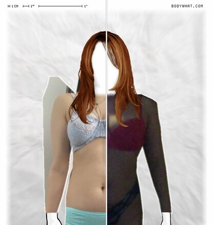 Torso Comparison