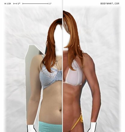 Torso Comparison