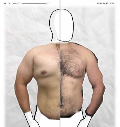 Torso Comparison