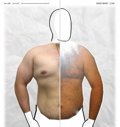 Torso Comparison