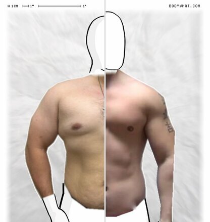 Torso Comparison
