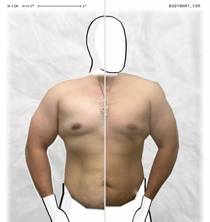 Torso Comparison
