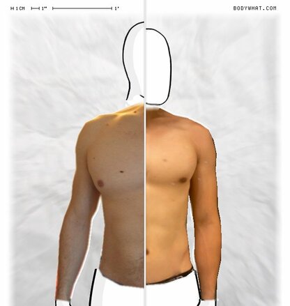 Torso Comparison