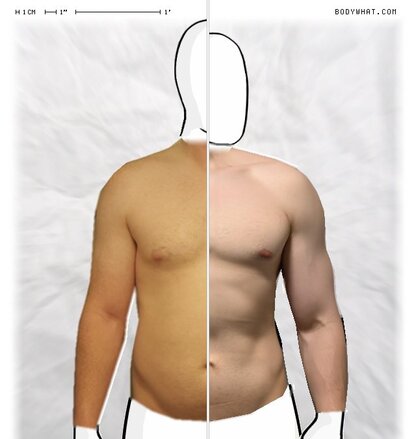 Torso Comparison