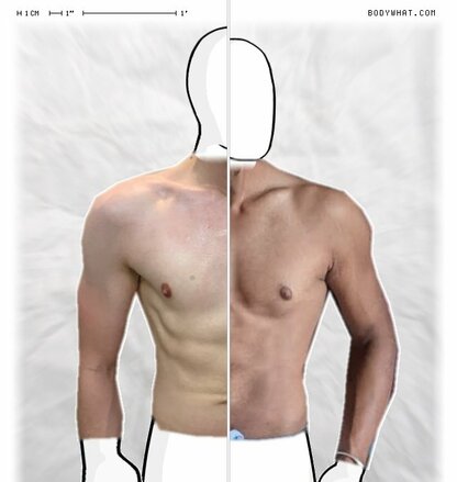 Torso Comparison