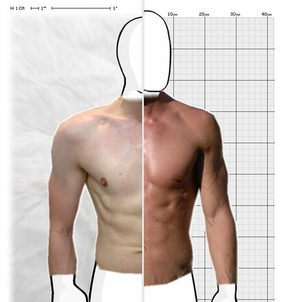 Torso Comparison