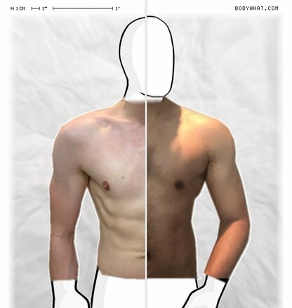 Torso Comparison