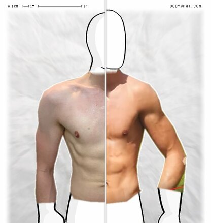 Torso Comparison