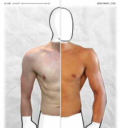 Torso Comparison