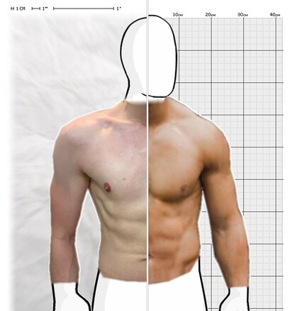 Torso Comparison