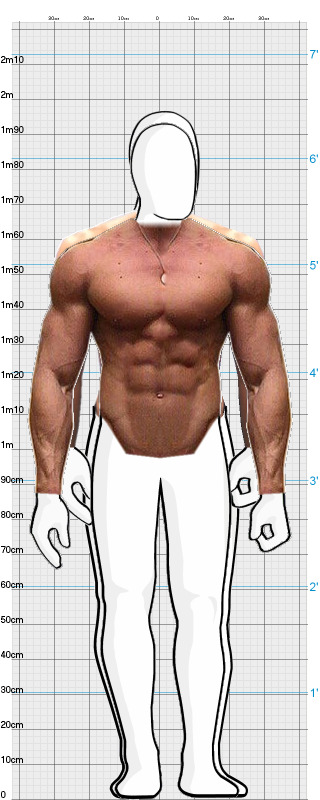 Full Size Comparison