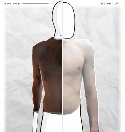 Torso Comparison