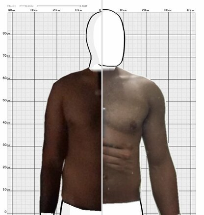 Torso Comparison