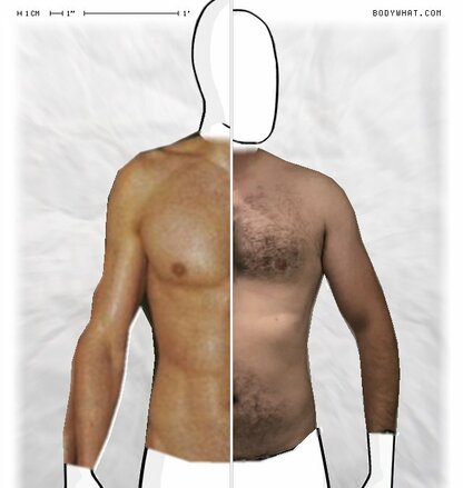 Torso Comparison