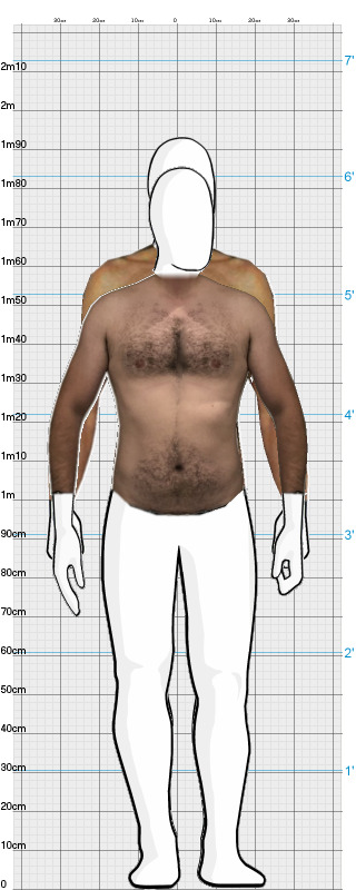 Full Size Comparison