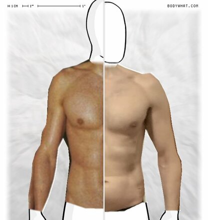 Torso Comparison