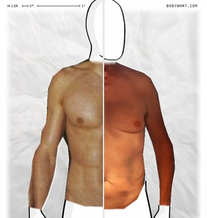 Torso Comparison