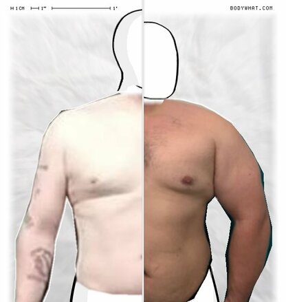Torso Comparison
