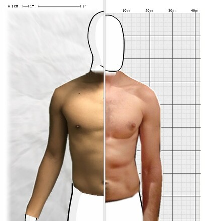 Torso Comparison