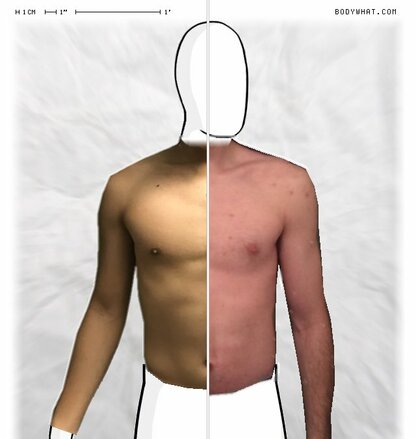 Torso Comparison