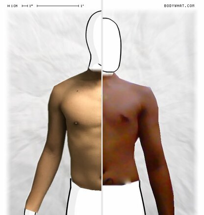 Torso Comparison